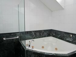 Fifth Avenue Condominium (D10), Condominium #618828221